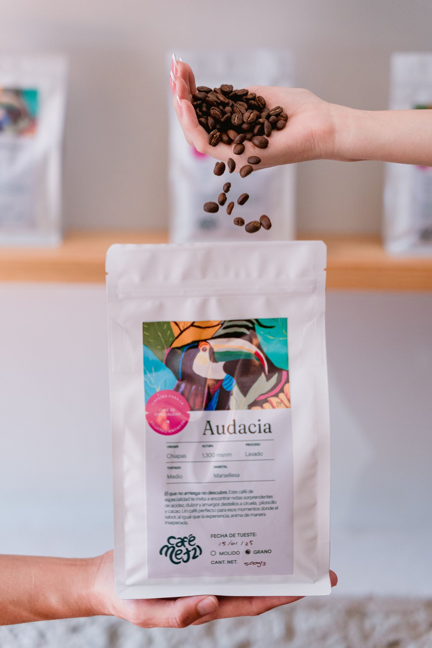 Audacia