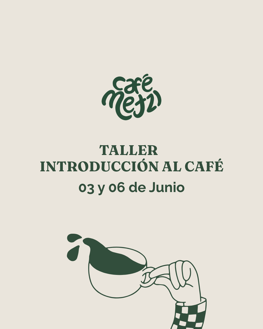 Taller de Introducción al Café