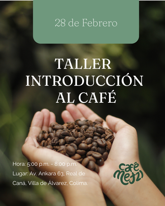 Taller de Introducción al Café