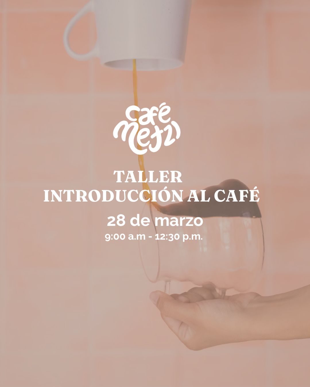 Taller de Introducción al Café