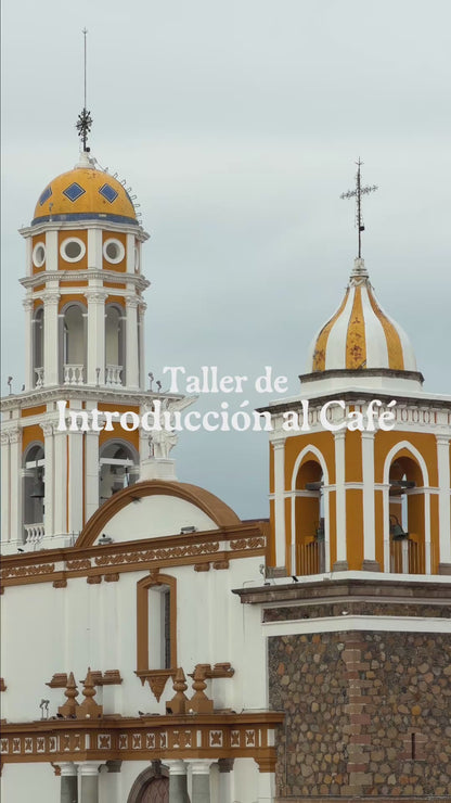 Taller de Introducción al Café